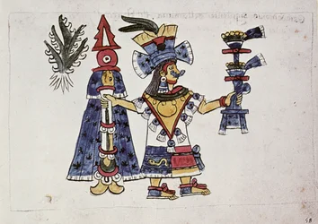 The Goddess Mayahuel, from the Codex Magliabechiano